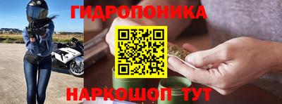 стафф Котовск