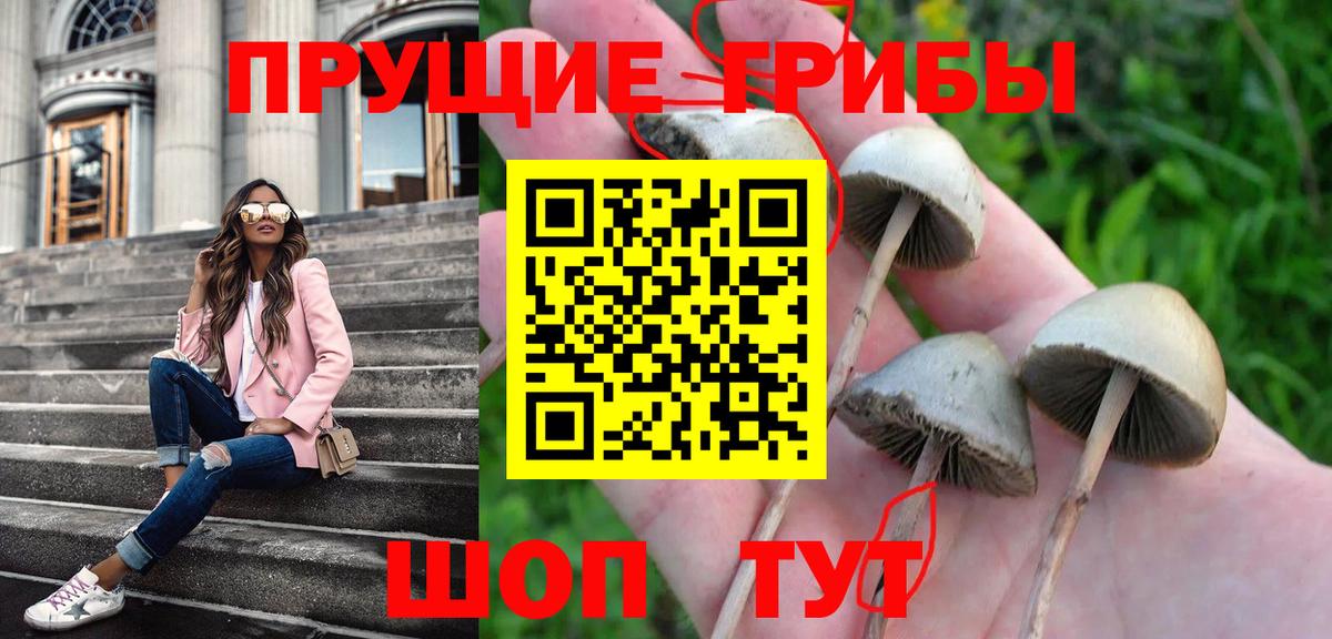 Галлюциногенные грибы мухоморы Баксан