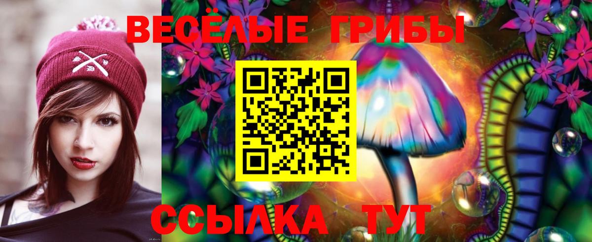 Баксан  Псилоцибиновые грибы MAGIC MUSHROOMS  Вход с VPN 