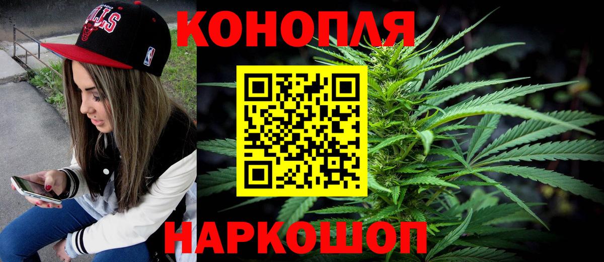 Конопля план Баксан